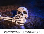 Skeleton's Hand Closing Skull's ...