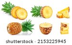 Pineapple Fruit. Collection...