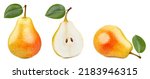 Collection pears isolated on...