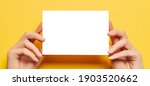 female hands hold a blank sheet ... | Shutterstock . vector #1903520662