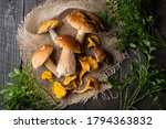 Wild Mushrooms And Chanterelles ...