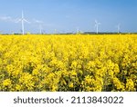 Small photo of Picardy, France, May 2007. Wind farm of 5 wind turbines of 2 megawatts in the department of Somme. Rapeseed field in the foreground