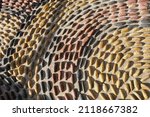 Small photo of Fragment of reflexology cobblestones pathway for foot massage . Mosaic circle pattern from convex rounded pebble stones. Ground path textured surface from boulders.