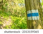 Small photo of Blue hiking trail marks on a tree on The National Blue Trail in Hungary, near Felsopeteny in the spring. Horizontal line mark is the main trails, the most important paths.