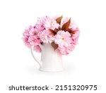 Cherry Blossom In Vase Of Jug....