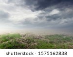 Small photo of Fantasy sapless thirsty landscape background with green grass and sky