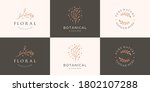 set collection minimalist... | Shutterstock .eps vector #1802107288