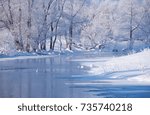 Altai river Talitsa with with couple of swans and reflection of willow trees covered by hoarfrost in water in winter, Siberia, Russia