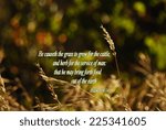 Small photo of Psalm 104:14 "He causeth the grass to grow for the cattle, and herb for the service of man: that he may bring forth food out of the earth" KJV Bible verse on dry grass background image with green.
