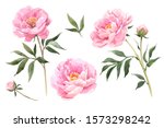 vector stock flower... | Shutterstock .eps vector #1573298242