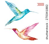Hummingbirds  Watercolor ...