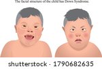 the facial structure of the... | Shutterstock .eps vector #1790682635