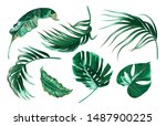 tropical palm leaves  monstera  ... | Shutterstock .eps vector #1487900225