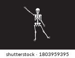 A Human Skeleton Halloween...
