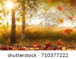 Beautiful Autumn Landscape With ...
