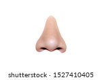 View of the nose lustrings on white background