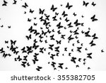 black butterfly on a white... | Shutterstock . vector #355382705