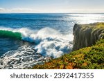 Small photo of Santa Cruz, United States - January 27 , 2013 : Surf capitol off the US. Only the bravest surfest dare to ride these waves.