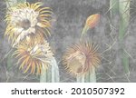 Beautiful Painted Cactuses On...