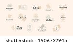 olive oil vector signs or logo... | Shutterstock .eps vector #1906732945
