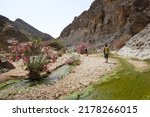 Dana Biosphere Reserve in Jordan. Amazing scenery in Wadi Ghuweir Canyon with river and blooming oleander bushes. Silhouette of hiking people on trail. 