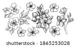 sakura  cherry and apple... | Shutterstock .eps vector #1865253028