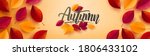 autumn poster and banner... | Shutterstock .eps vector #1806433102