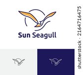 Sun Seagull Bird Flying Sea...