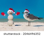 Snowman And Seagull On The...