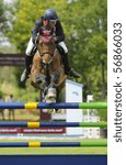 Small photo of PORTIMAO, PORTUGAL - JUNE 13: Participant in action at International Show Jumping CS4 Portimao , Portugal,June 13, 2010 in Portimao.