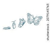 Butterfly Life Cycle Vector...