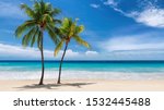 Palm Trees On The Beach In Cuba Image - Free Stock Photo - Public 