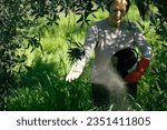 Small photo of Dedicated female farmer tending olives with eco-passion, nurturing the land for a bountiful harvest. Harmony of labor and nature. green olive trees so that the fruit of the olive grows in the best way