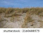 Sand Dunes On The Shore Of The...