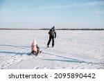 Family on winter walk. Young man and child are skiing in winter on frozen river near forest, man is sledding child in snow. 