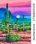 Arizona Nature. Desert Cactus....