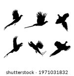 A Set Of Flying Pheasants....