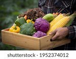 Young Asian man farmer with freshly picked vegetables in basket. Hand holding wooden box with vegetables in field. Fresh Organic Vegetables from local producers ready for transport.