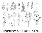 herbs and flowers painted black ... | Shutterstock .eps vector #1404816128