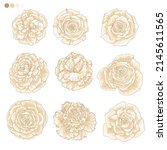 roses flowers white drawn on a... | Shutterstock .eps vector #2145611565