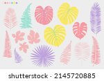 tropical leaves chewing gum... | Shutterstock .eps vector #2145720885