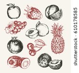fruits   vector modern hand... | Shutterstock .eps vector #610178585