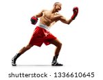 Professional Boxer Isolated In...