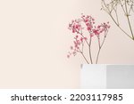 White porous gypsum cube for podium cosmetic products on a beige background with gypsophila pink flowers eco. Mockup empty template horizontal