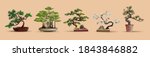 set of bonsai japanese trees... | Shutterstock .eps vector #1843846882