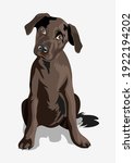cute black funny dog. puppy.... | Shutterstock .eps vector #1922194202