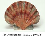 Small photo of a marine mineral.seashell.from the seabed.aquarium decor.ossified marine mineral.aquarium decor.marine decor and decorations.seashell.clam.crustaceans and casement.a seafood delicacy.