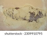 Small photo of Detail of dampness damage on pastel colored wall plaster with orange peel stipple finish, abstract background