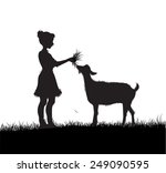 Girl Feeds The Goat On The...