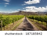View Of Hunter Valley Vineyards ...